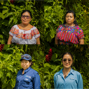  - mejorando la resiliencia climática de comunidades indígenas guatemaltecas por medio de soluciones basadas en la naturaleza