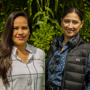  - soluciones basadas en la naturaleza (sbn) a través de la siembra y cosecha de agua de lluvia (sycall) en apoyo y fortalecimiento de capacidades de organizaciones de mujeres en la región de pueblos indígenas yaqui.,