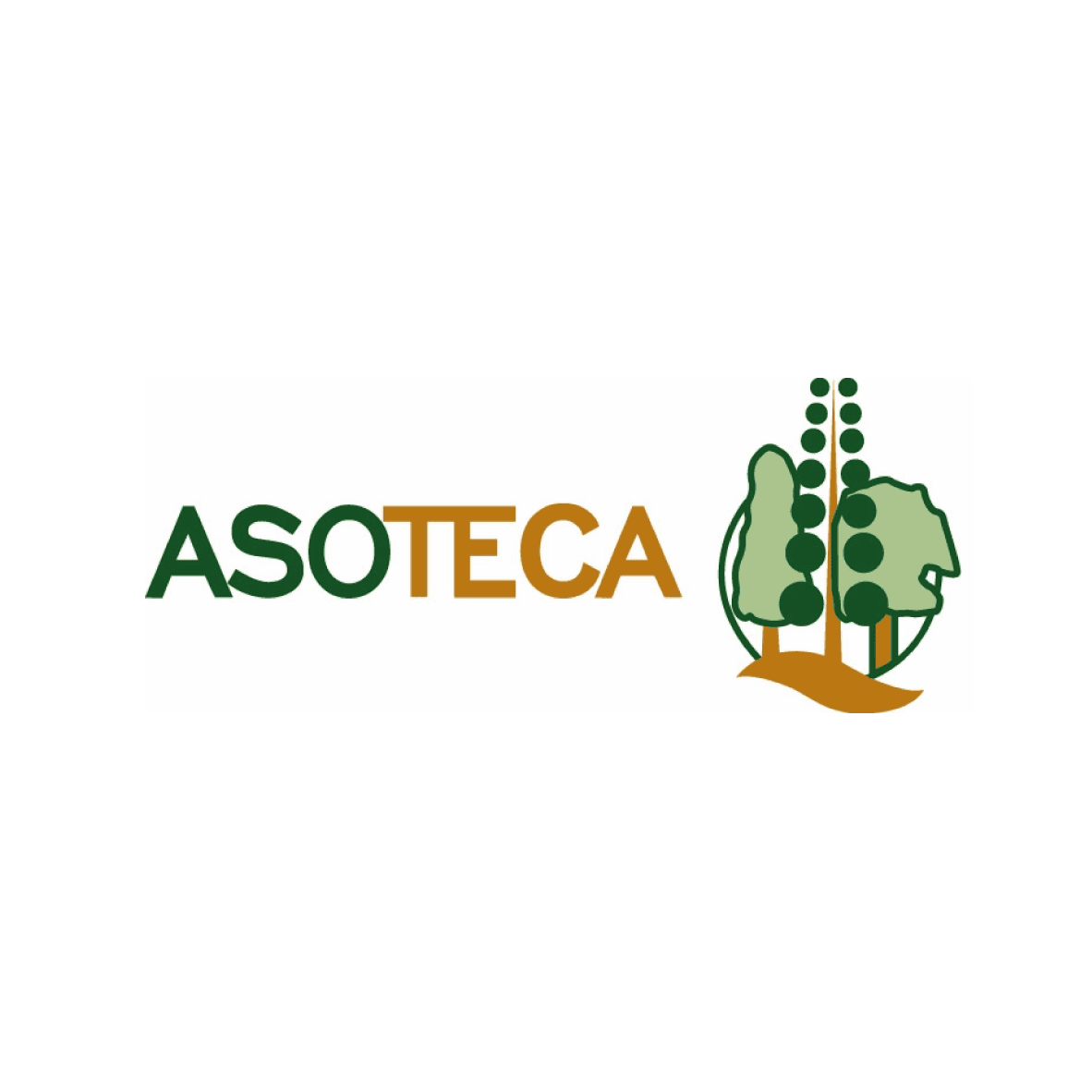 ASOTECA