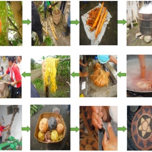  - identificación de productos forestales no maderables (pfnm) - tintes vegetales en la zona de intag, noroccidente del ecuador, guadalajara