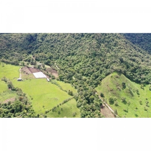  - restauración forestal en zonas de protección hídricas, fortaleciendo la gobernanza en la subcuenca del río caisán, cuenca hidrográfica del río chiriquí viejo , guadalajara