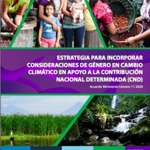  - guadalajara,estrategia para incorporar consideraciones de género en cambio climático 