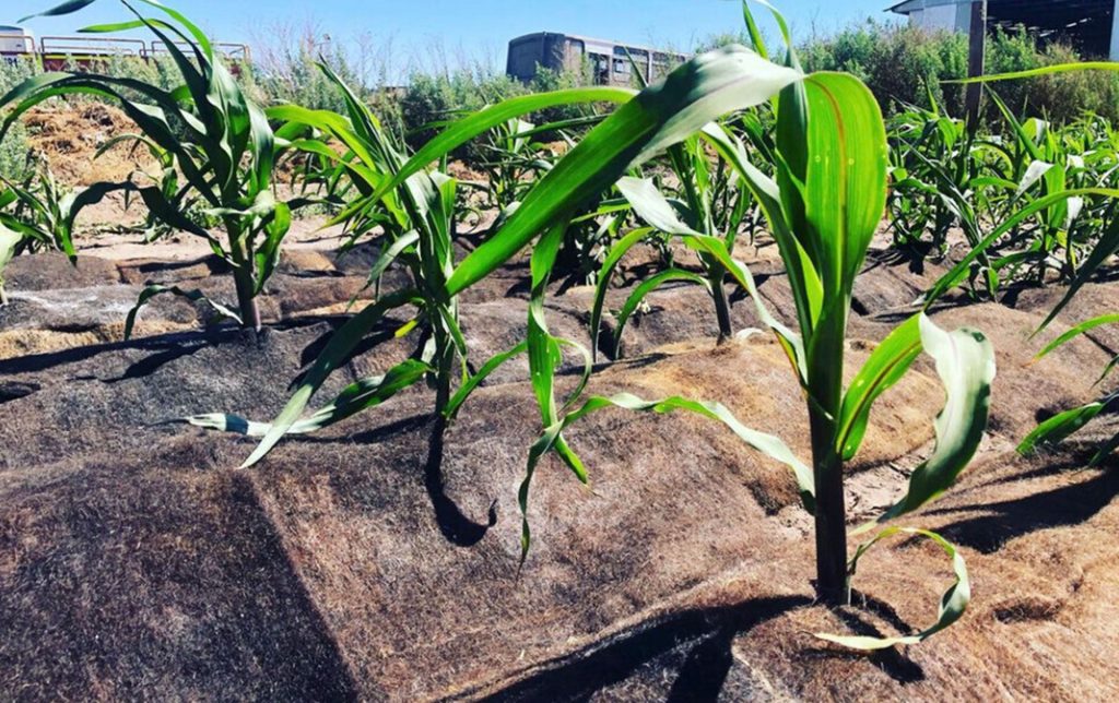 AGROPELO2