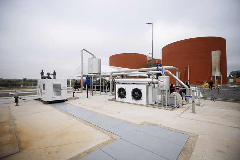 Bioenergia Bajo Grande 1