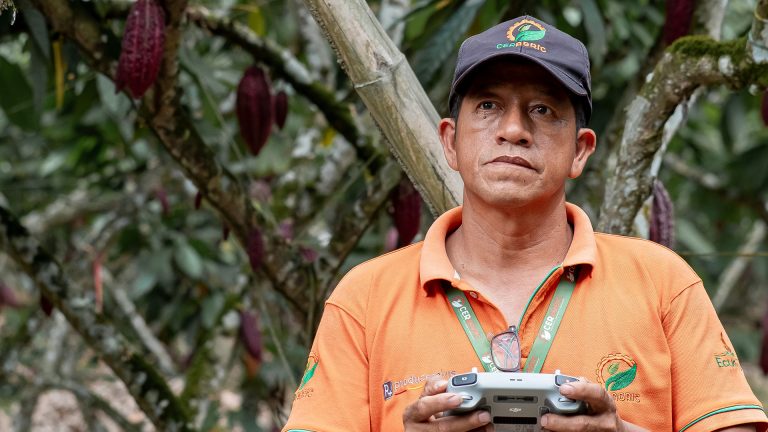 CACAO_0000__DSF7109