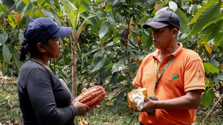 CACAO_0002__DSF7038