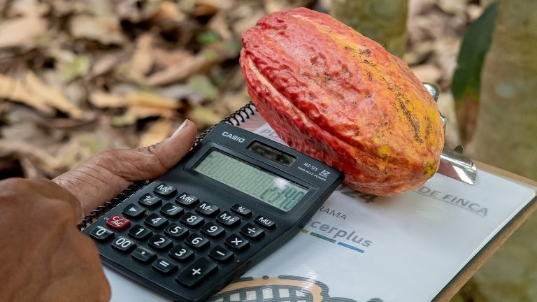 CACAO_0003__DSF6988