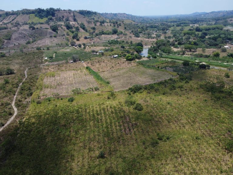 DJI_0163