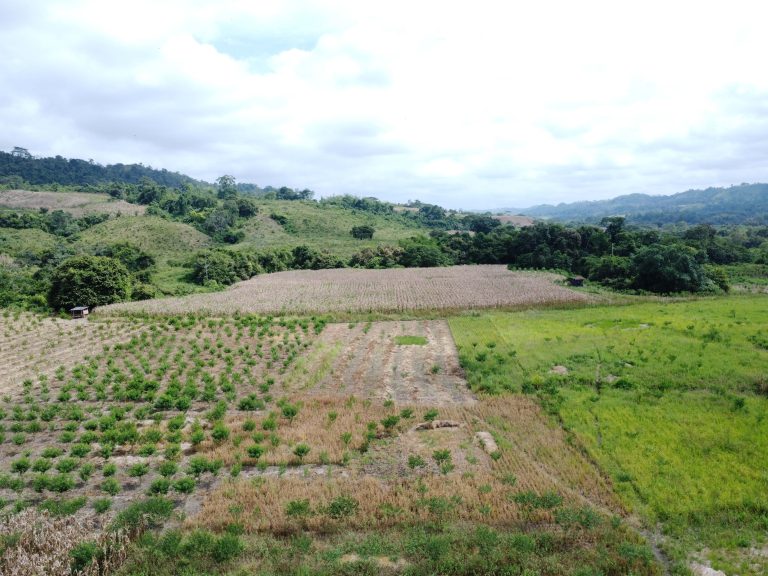 DJI_0574