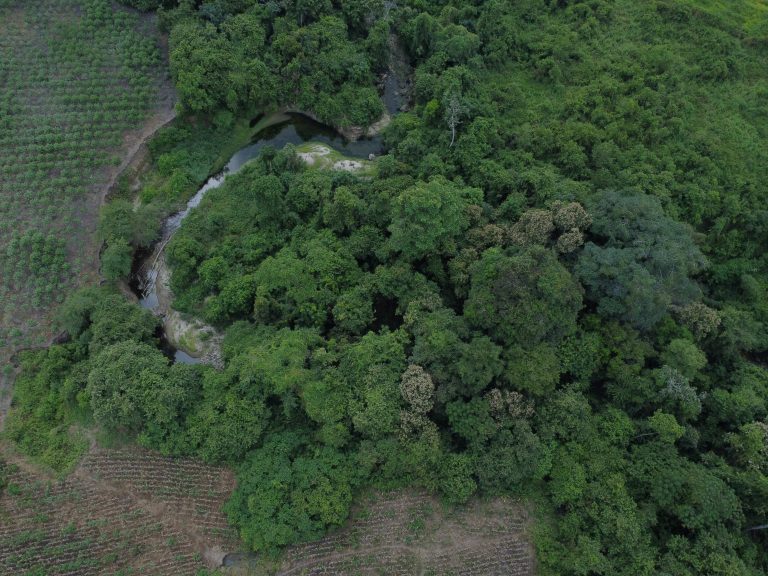 DJI_0639