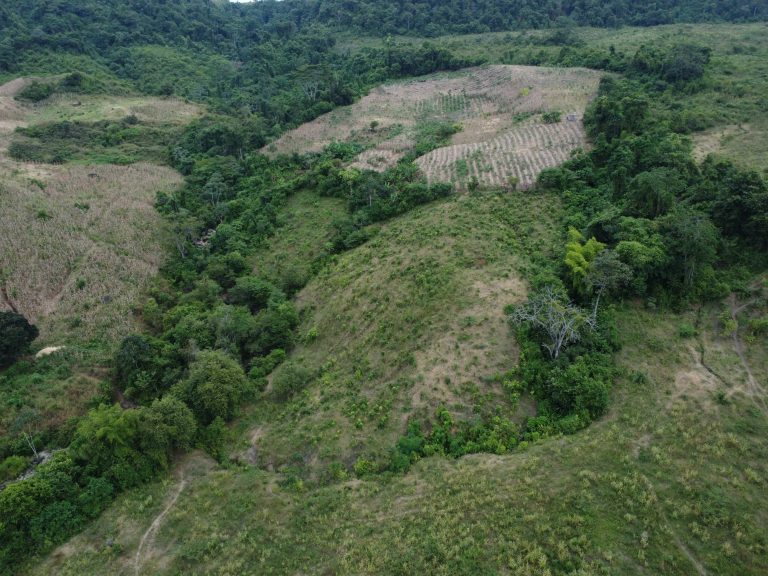 DJI_0811
