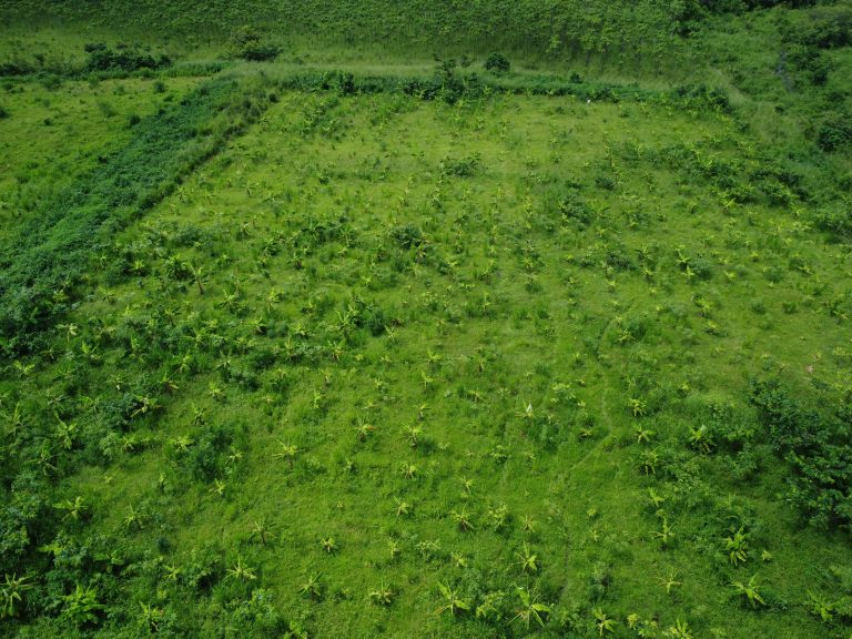 DJI_0883