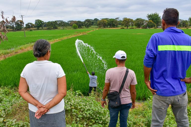 Fase de levantamiento de información de campo 1