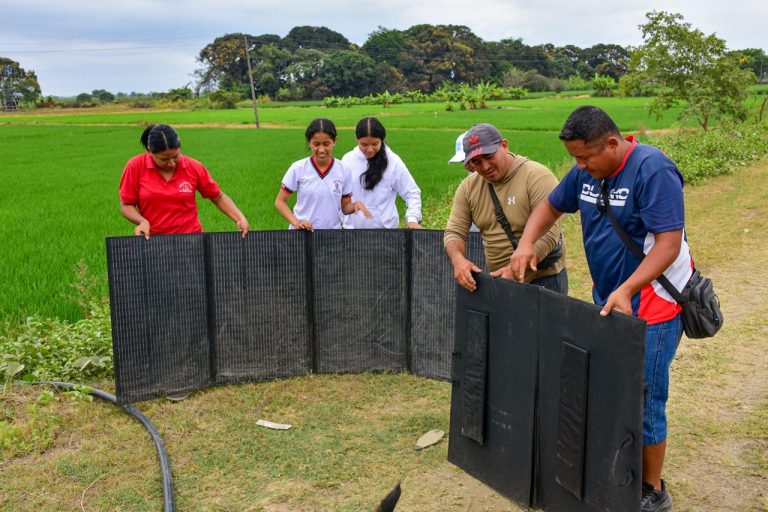 Fase de levantamiento de información de campo 3