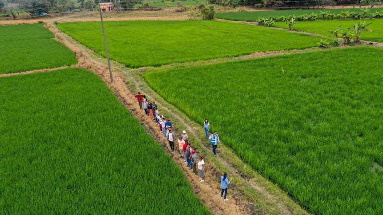 Fase de levantamiento de información de campo