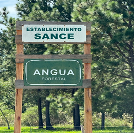 Imagen1