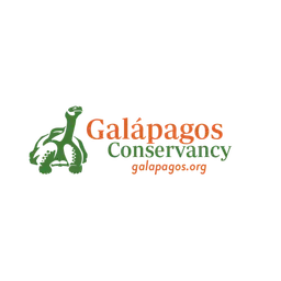 Logo 9