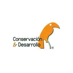 Logo 9