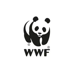 logo 8