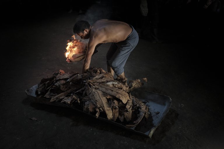 En el interior oscuro de la maloca, Jesús Negedeka prende hojas de yarumo. La luz tenue del fuego y la que entra por la puerta iluminan el ritual: las hojas arderán hasta volverse ceniza, un componente esencial en la preparación del mambe, símbolo de sabiduría y palabra. 20 de enero 2025