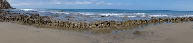 Panoramica corral marino