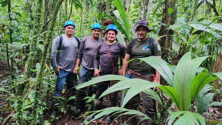 Servicios-Forestales01