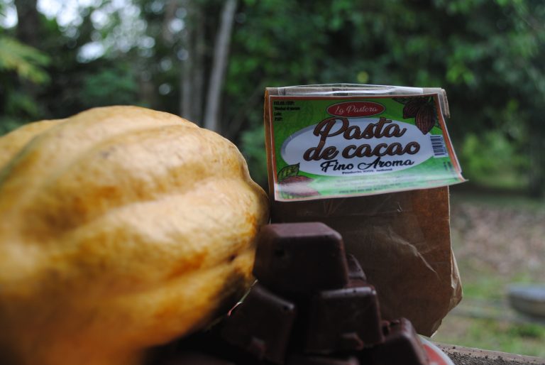 cacao