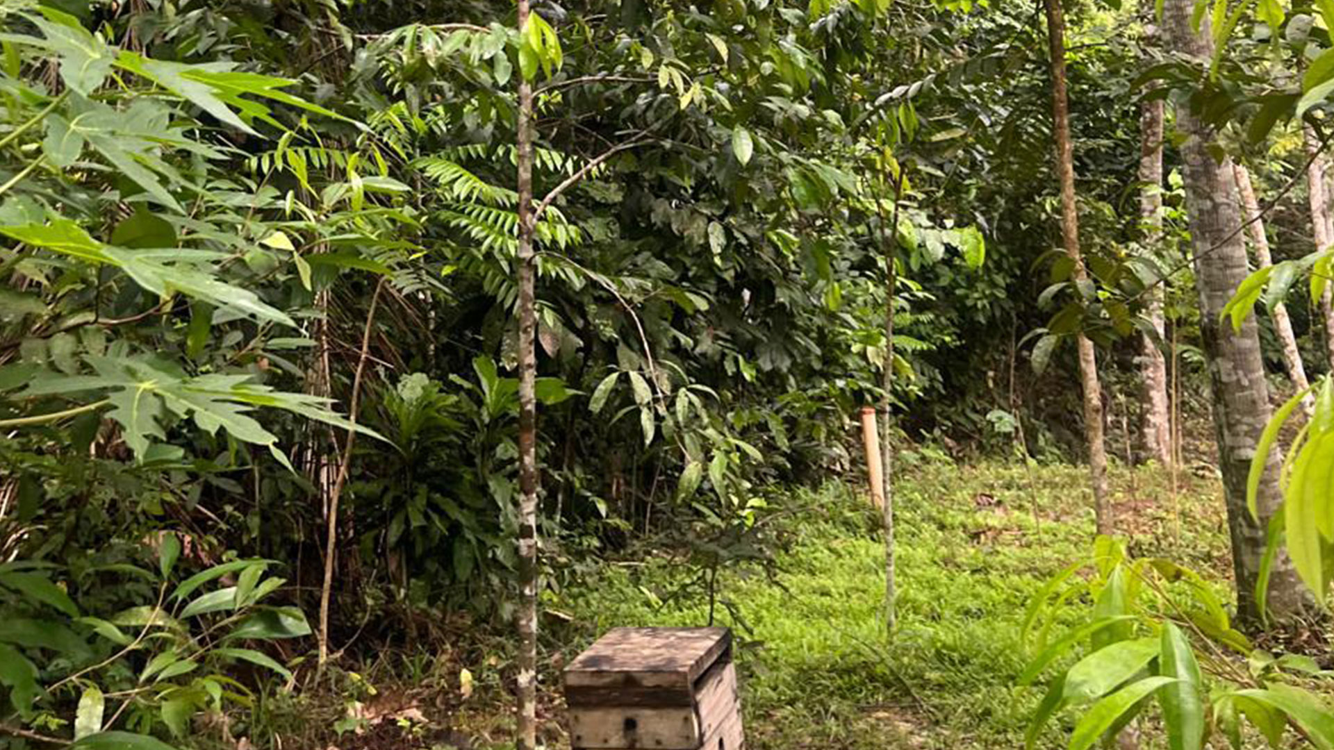 paraiso4