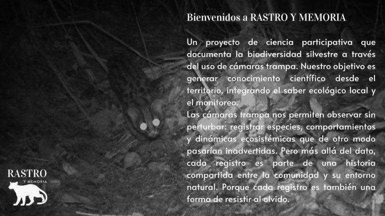 rastroymemoria8