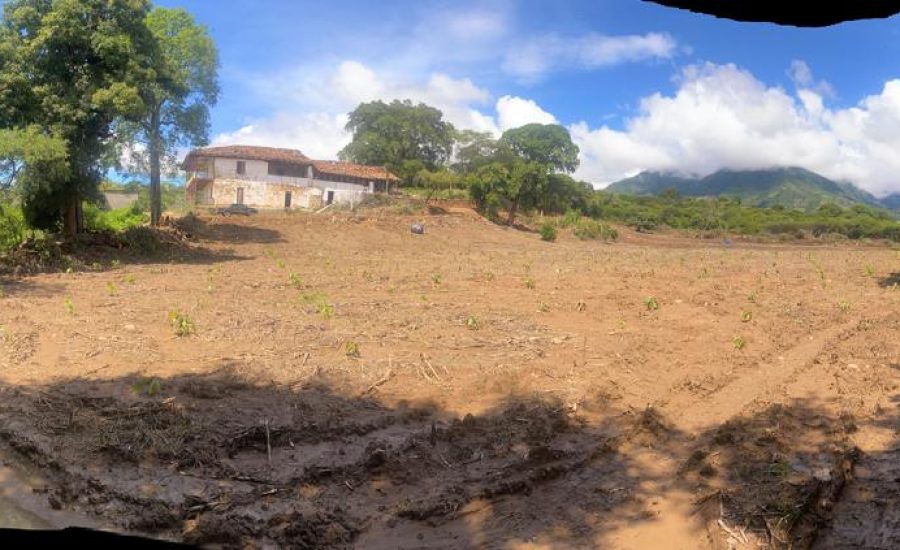 12.- VISTA PANORAMICA DE TERRENO Y CASA