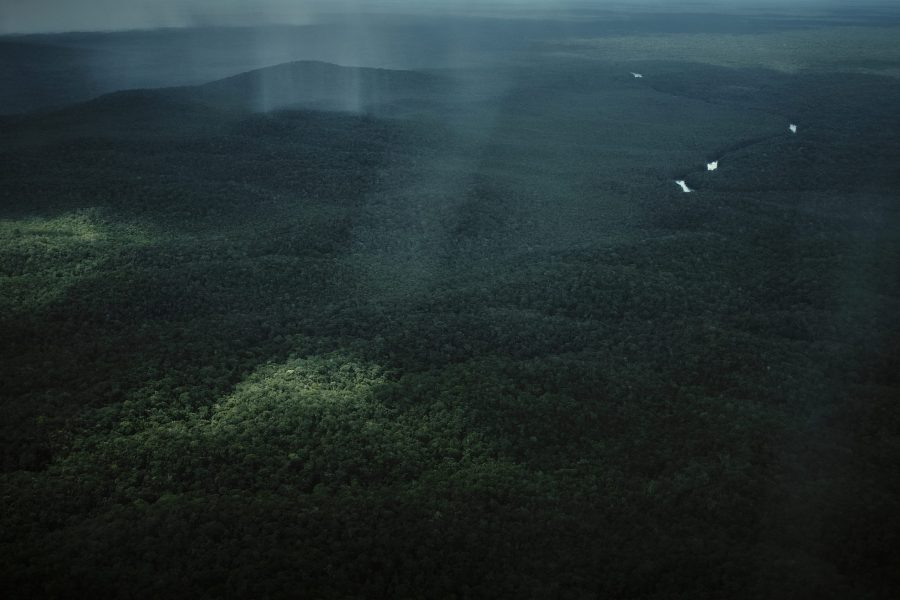 Vista aérea de la selva amazónica durante la temporada de lluvias, donde el dosel del bosque brilla al filtrarse la lluvia sobre los árboles.
La lluvia alimenta ríos y suelos sosteniendo a las comunidades que dependen de ellos. En la cosmovisión indígena, la Amazonía es un ser vivo, sus aguas y árboles sostienen la vida y encarnan la memoria ancestral que une cielo, tierra y espíritu.