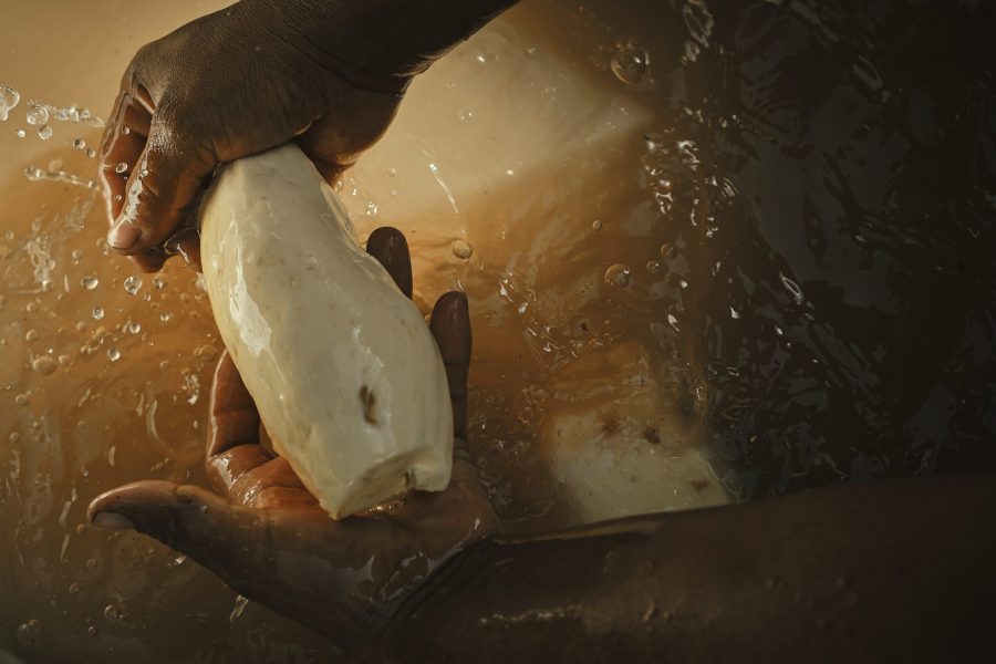 Las manos de Rosa lavan raíces de yuca brava previamente peladas.
El cuidado con que Rosa lava la yuca refleja el respeto entre las mujeres y el alimento que preparan. En sus manos, la raíz es sostenida como algo vivo y esencial, alimento que se transmite no solo con trabajo, sino también con atención, paciencia y amor.