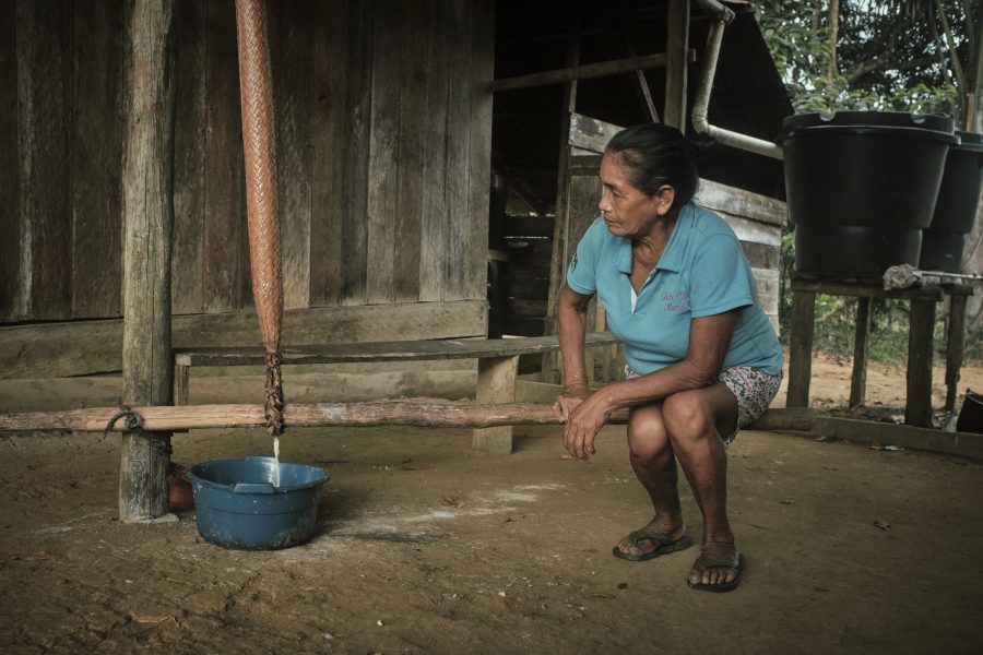 El matafrío, herramienta ancestral tejida en palma, se utiliza en el Amazonas colombiano para procesar la yuca brava. Tras rallarla y lavarla, las mujeres introducen la masa en el matafrío y la exprimen con fuerza para extraer el líquido lechoso que contiene cianuro.
Este paso es indispensable para que la yuca sea segura de comer. El objeto encarna generaciones de conocimiento indígena, permite a las mujeres transformar un tubérculo venenoso en alimento básico y sostener así la supervivencia de sus comunidades.
