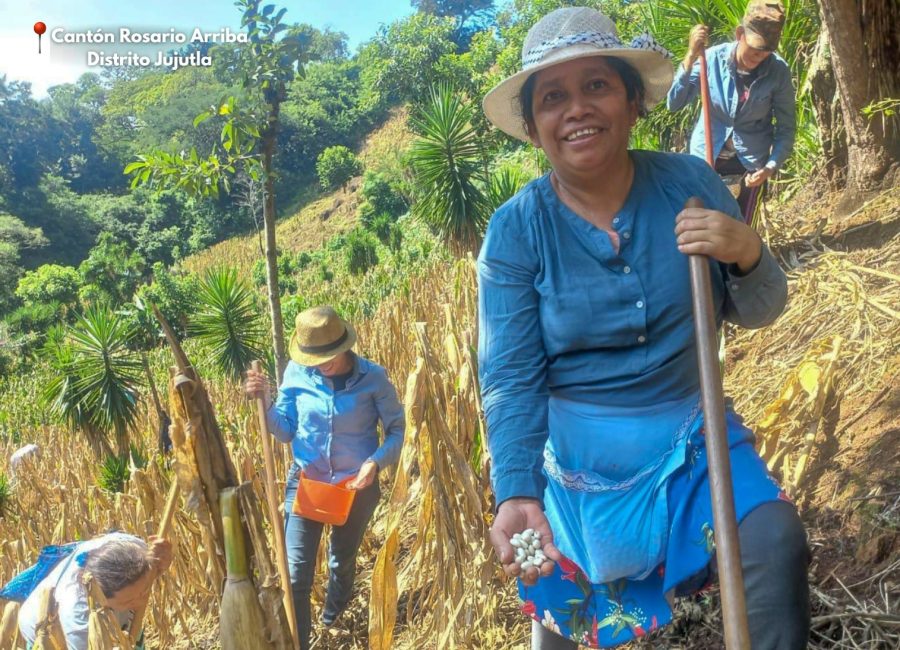 Fertilidad del suelo