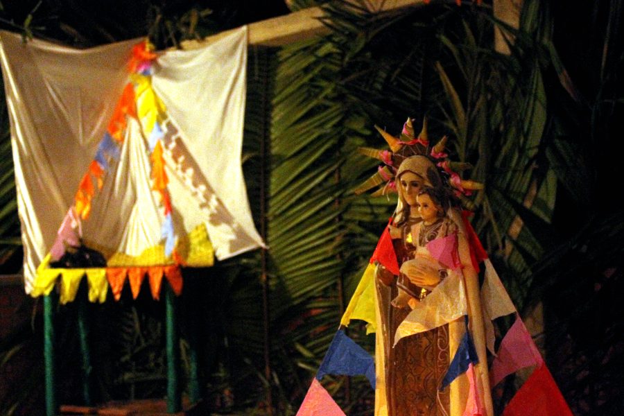 Herencia viva (9)