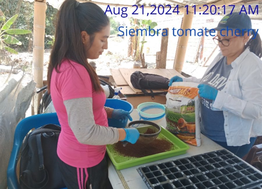 Montaje_experimento