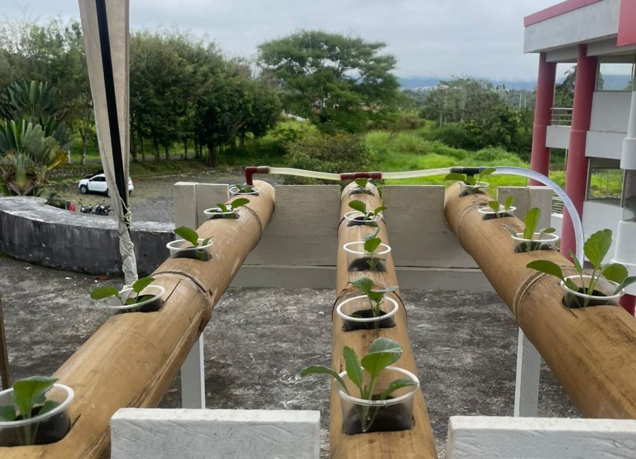 Sistema de bambu