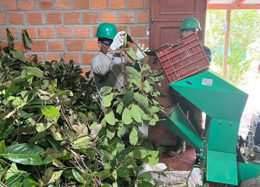 Trabajadores