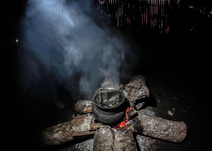 ayahuaska2