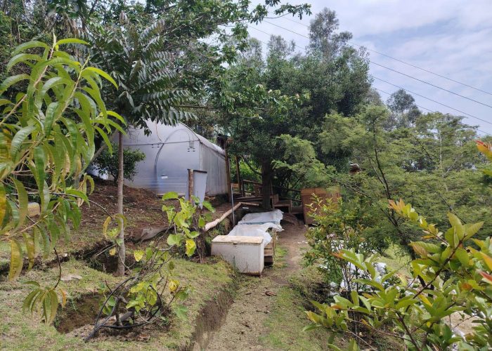 bioauditorio-fotos-1-3